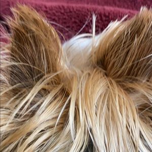 Meet your Posher, Ed